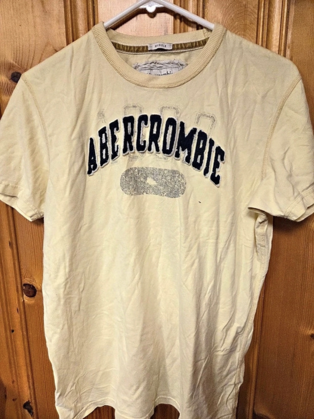 Vintage/Y2K Abercrombie & Fitch Graphic Short Sleeve Tee XL Yellow
